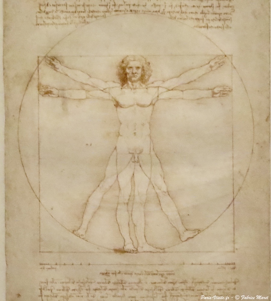 L'Homme de Vitruve par Léonard de Vinci